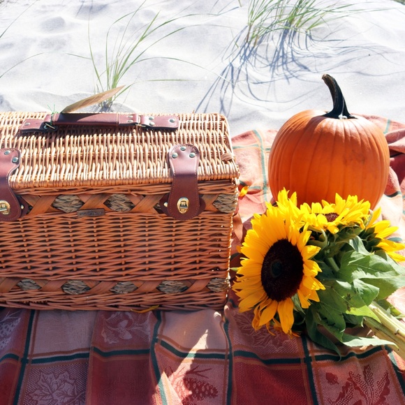 Luxury Treasure Chest Picnic Basket For Four - Picture 2 of 9